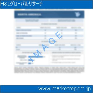 市場と産業調査レポートのイメージ